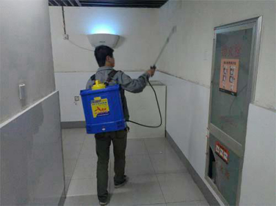 公共区域消杀服务
